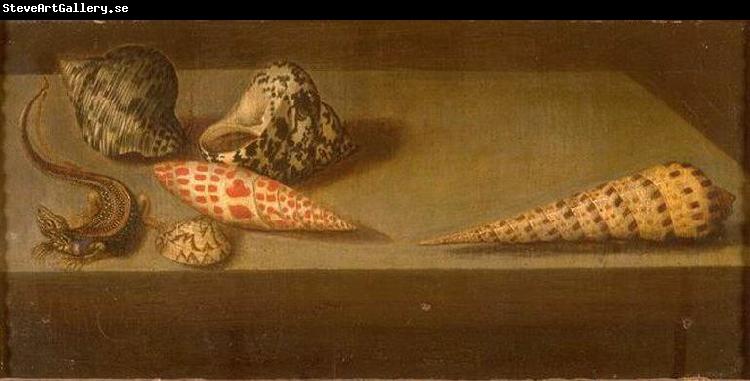 AST, Balthasar van der Lezards et coquillages